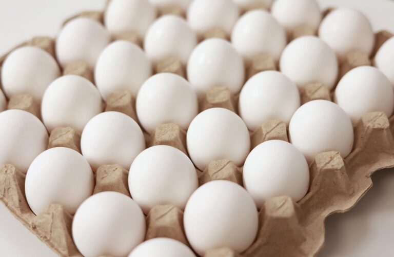 Fresh Eggs